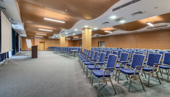 Conference_hall_theatre-555x317